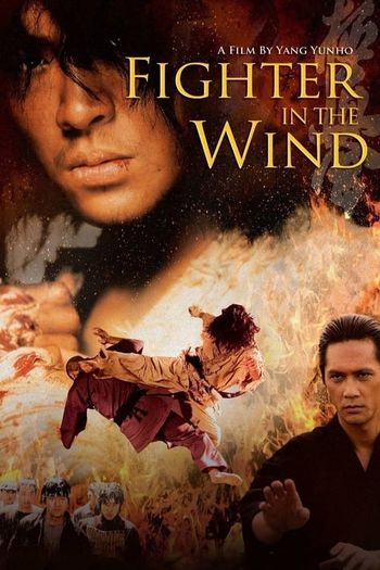 Fighter in the Wind (2004) BluRay Dual Audio In Hindi Korean